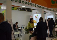 Marruecos: BL Agri está especializada en la exportación de frutas y hortalizas frescas. La compañía trabaja en la región sur de Marruecos. Los productos se comercializan con el nombre BL Agri®.