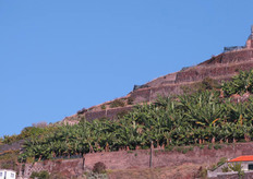 Para el aprovechamiento de la irrigación, teniendo en cuenta lo quebrado del terrreno