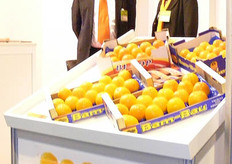 Sr. Jose Maria Fuster Santonja (Director Gral.) y la Sra. Pamela Wauters (Dpto. ventas) de Fuster Moncho S.L.