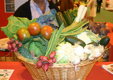 Horticultores de Villa del Prado