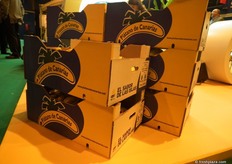 Cajas de Plátano de Canarias con el lema EL SABOR DE LAS ISLAS