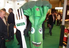 El bróccoli patinador de AGRÍCOLA SANTA EULALIA.