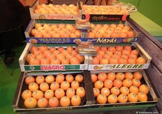 Kakis de la D.O.P. KAKI RIBERA DEL XÚQUER.