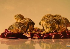 "Primer premio del III CONCURSO DE FOTOGRAFÍA "5 AL DÍA": "Isla de Brócoli", de Alberto Pujol."