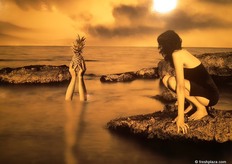 Tercer premio del concurso de Fotografía.