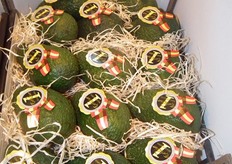 Aguacates Bacon de primera categoría de FRUTAS MANZANO.