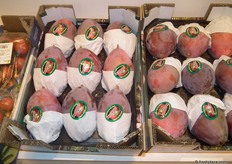 Mangos de Frutas Manzano.