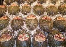 Melones Piel de Sapo de EL MELONERO.