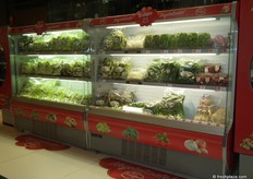 Primaflor posee una gran gama de ensaladas preparadas y lavadas listas para come, que vende a través de las cadenas de supermercados más prestigiosas.