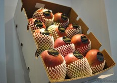 Passion Fresh, suministrador durante todo el año de frutas y hortalizas peruanas. Exportan a América, gran parte de Europa y Asia.