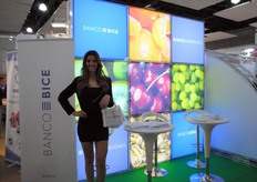 Regina Fernandez de Banco Bice.