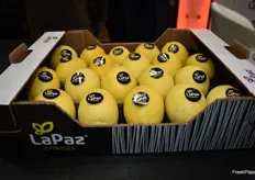 Limones Primofiori en el stand de Cítricos La Paz.
