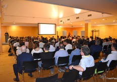 Presentación del nuevo proyecto de kiwi amarillo Kikoka, de Rivoira.