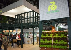 Stand de la casa de semillas Rijk Zwaan, presentando sus nuevos conceptos de lechuga.