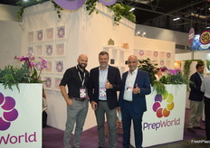 Equipo de Berryworld