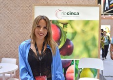 Stand de Río Cinca.