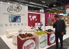 Stand de Sunworld