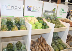 Productos como la piña, la yuca y diversos productos en el pabellón de Costa Rica.