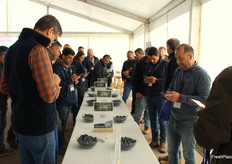 En la cata, los dos grupos en los que se dividieron los asistentes evaluaron las características de 5 variedades de arándanos a través de una encuesta a la que se podía acceder con el código QR de cada muestra