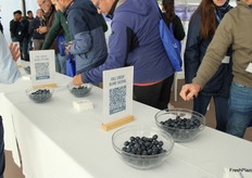 Entre las variedades de la cata, como se supo al final, se encontraban AzraBlue y FCM 14-057, ambas del programa Collection, que fueron las mejor evaluadas por los asistentes