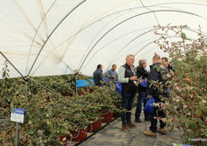 Asistentes visitando el invernadero de la variedad Blue Ribbon