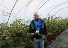 José Rufo, director de la finca experimental de Fall Creek en Villamanrique