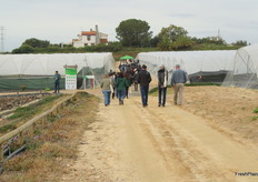 Tras la presentación, los asistentes al Meet & Greet Field Day nos dirigimos en grupos hacia los invernaderos donde se cultivan las diferentes variedades de berries