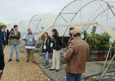En la visita a los invernaderos de moras, Rocío mostró las selecciones avanzadas de Planasa sin espinas