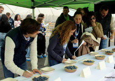 Evaluación de la fruta en la cata de arándanos