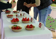 La cata de fresas ofreció un momento muy interesante para compartir las opiniones sobre las diferentes variedades que probamos