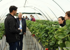 Pedro Domínguez detalló las características de las variedades de fresa
