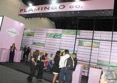 Estand de Frutos Tropicales de Brasil en su 1er día de la feria.