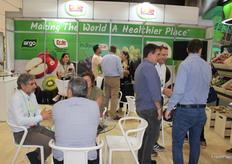 En el pabellón de Dole, ocupados con sus reuniones.