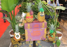 Piñas de Costa Rica.