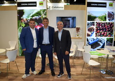 Eduard Cedó, David Manero y Héctor Ripoll, de Cerima Cherries.