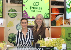 Equipo de ventas de Fruklas.