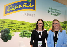 Equipo de ventas de Kernel Export.