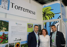 Equipo comercial de Torremesa.