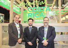 Zacarías Ayub, Daniel Díaz y Jorje Zamora de Procomer.