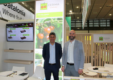 Stand de Cerima Cherries.