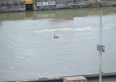 Mientras todos esperan