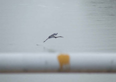 Un despegue dentro del Canal de Panamá