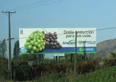 Las frutas se ven por todas partes en Chile