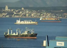 Embarcaciones llenas de contenedores para los selectos mercados a los que llega Chile