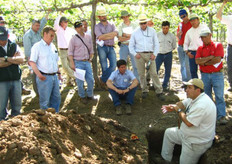 Victor Yarad, Asesor Kiwi