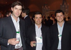 Prize, productores/comercializadores de kiwi desde Chile.