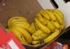 Bananos sueltos para la venta (tamaño pequeño, muy tipico de Madeira)