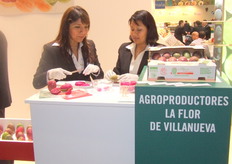 Información, Ing. Carlos Zarain - Secretaría de Desarrollo Rural de Puebla (México)