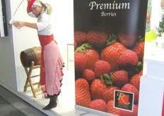 Premium Berries
