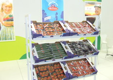 Vicasol - Contacto: Isidoro Sánchez Bernabeu.